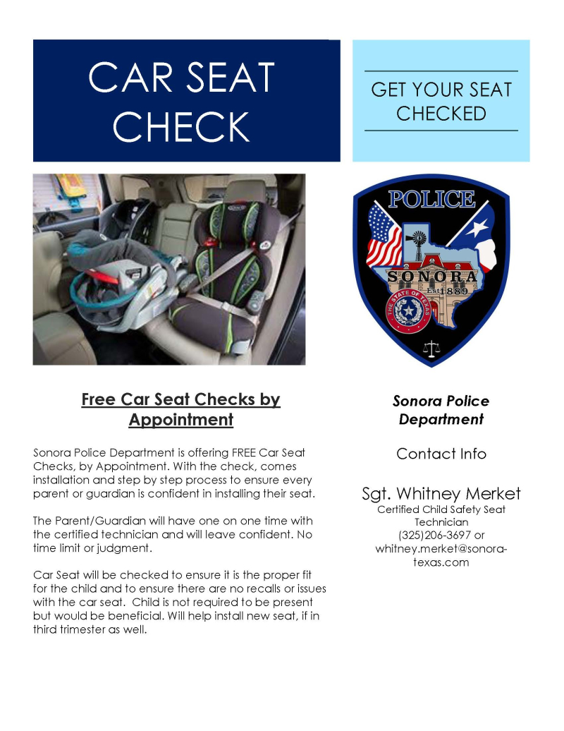 Car Seat Check Flyer