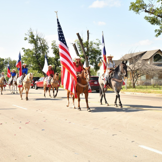 Horses Pic 1