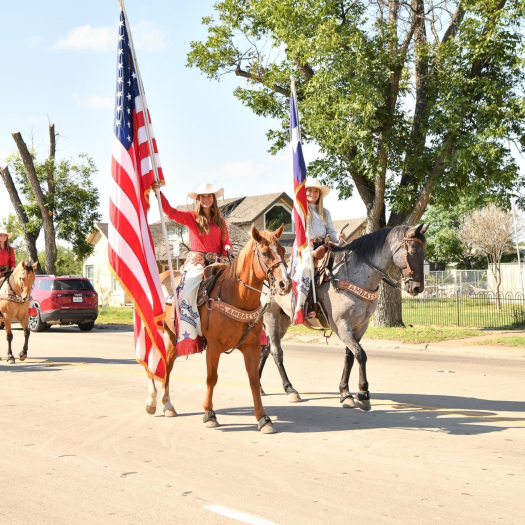 Horses Pic 2